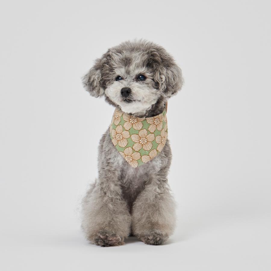 GUNZE（グンゼ） ドッグウェア 小型犬 綿麻 ドット柄 花柄 スタイ 犬服