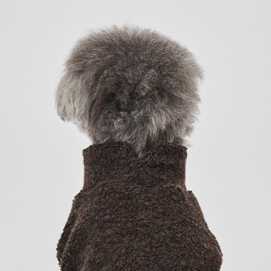 GUNZE（グンゼ） ドッグウェア 小型犬 ウール混 ボア 犬服 ペット服