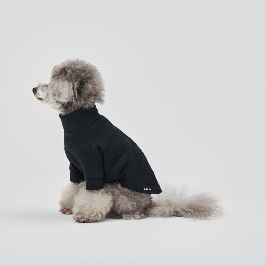 ＊a＊①　犬服セット full of vigor 犬 服 秋 冬 ドッグプレイ(R) セットアップ 風