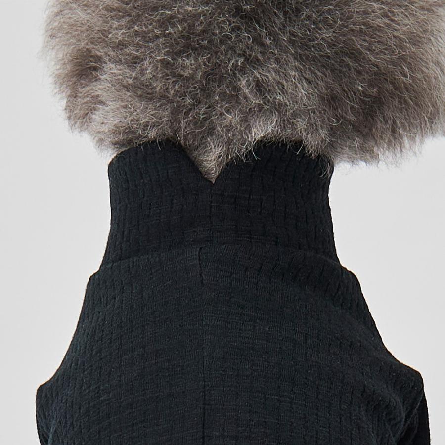 GUNZE グンゼ ドッグウェア 小型犬 綿100% パッチジャガード 犬服