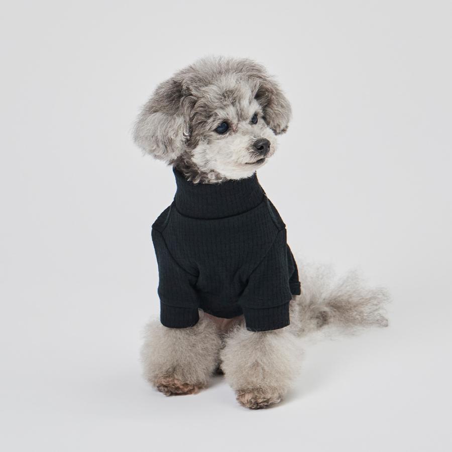 GUNZE グンゼ ドッグウェア 小型犬 綿100% パッチジャガード 犬