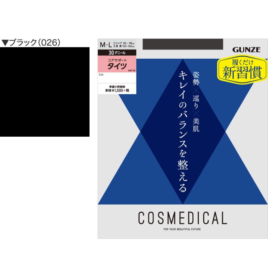 GUNZE（グンゼ） 着圧タイツ コアサポート L〜LL 婦人 年間パンスト