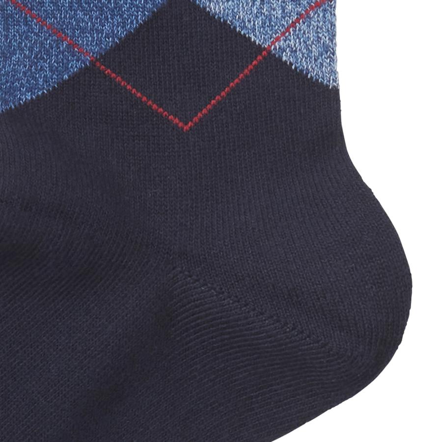 POLO BCS（ポロ・ビーシーエス） グンゼ 靴下 ソックス メンズ ポロ