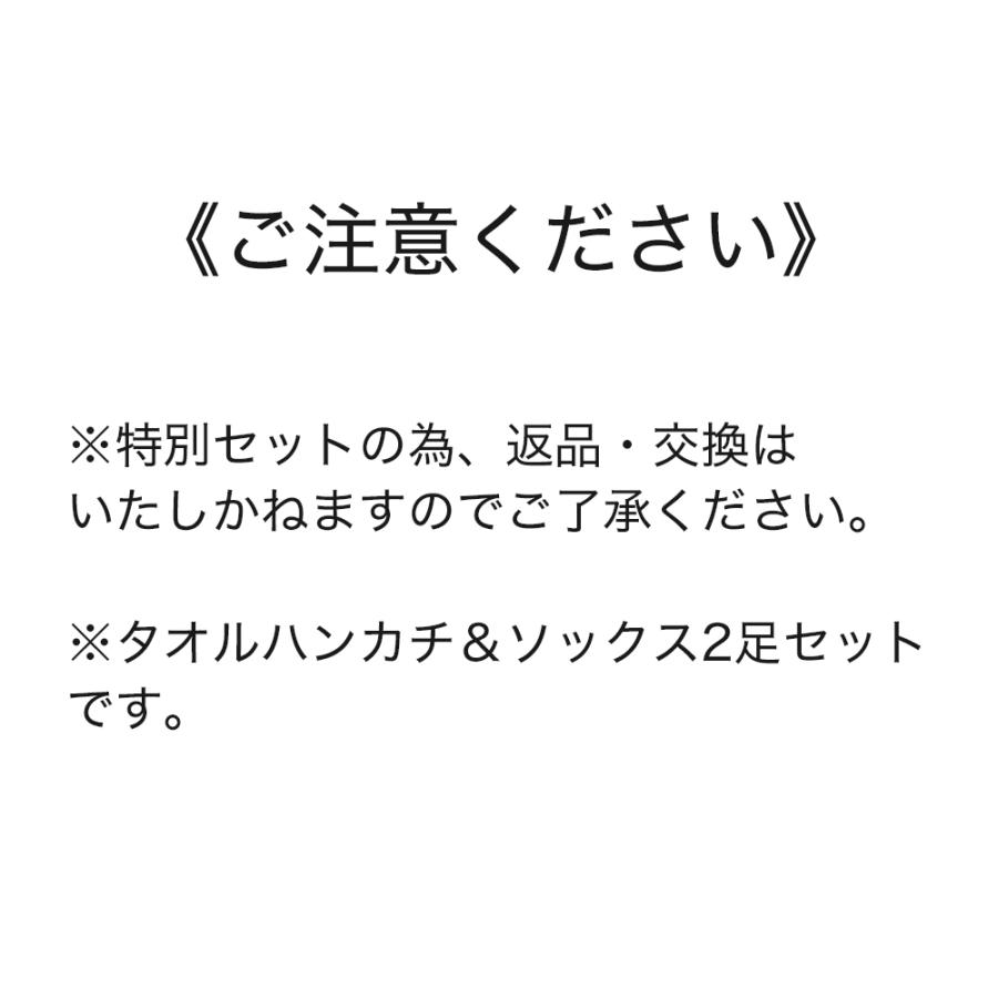 POLO BCS グンゼ GUNZE ハンカチ&ソックス2足セット メンズ 靴下 POLO BCS グンゼ GUNZE ハンカチ&ソックス2足セット メンズ 靴下