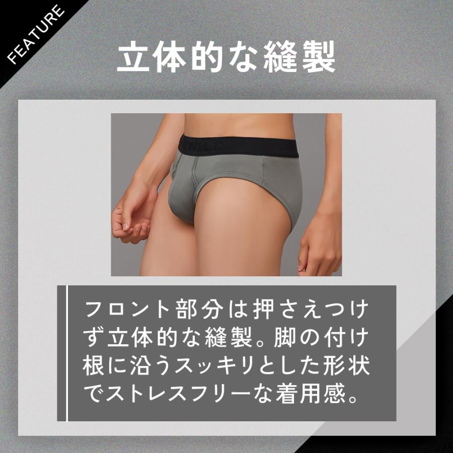 BODY WILD（ボディワイルド） グンゼ ブリーフ メンズ パンツ