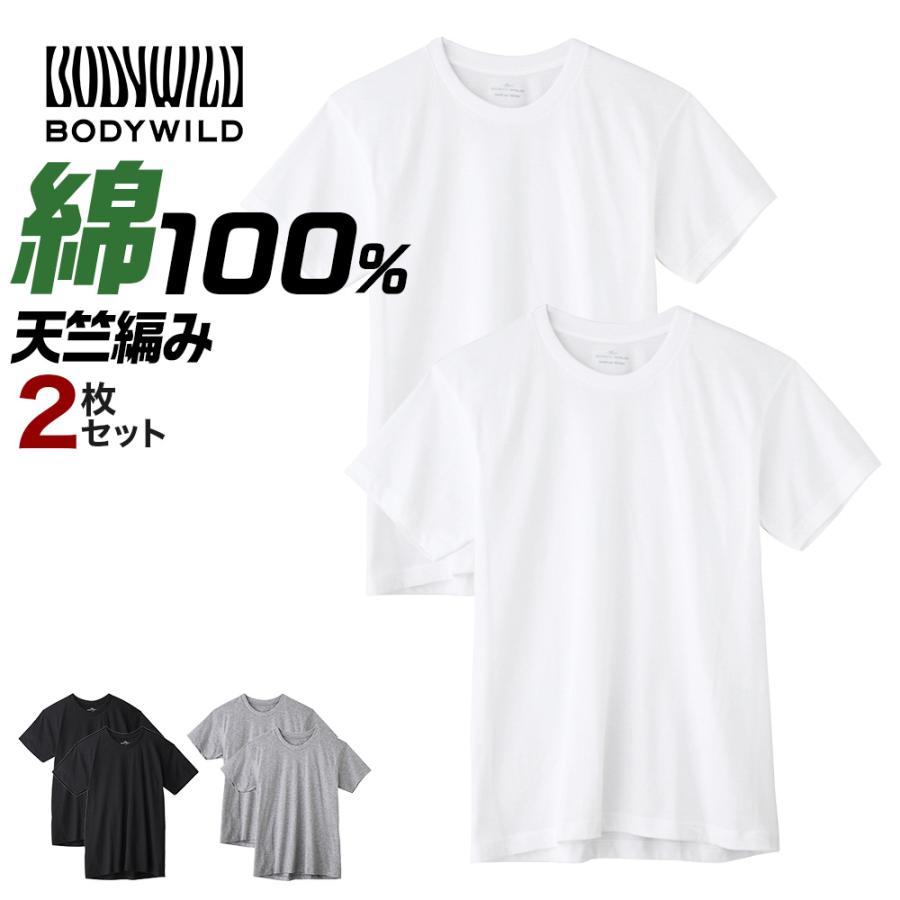 BODY WILD（ボディワイルド） グンゼ GUNZE BODYWILD Tシャツ 2枚組 