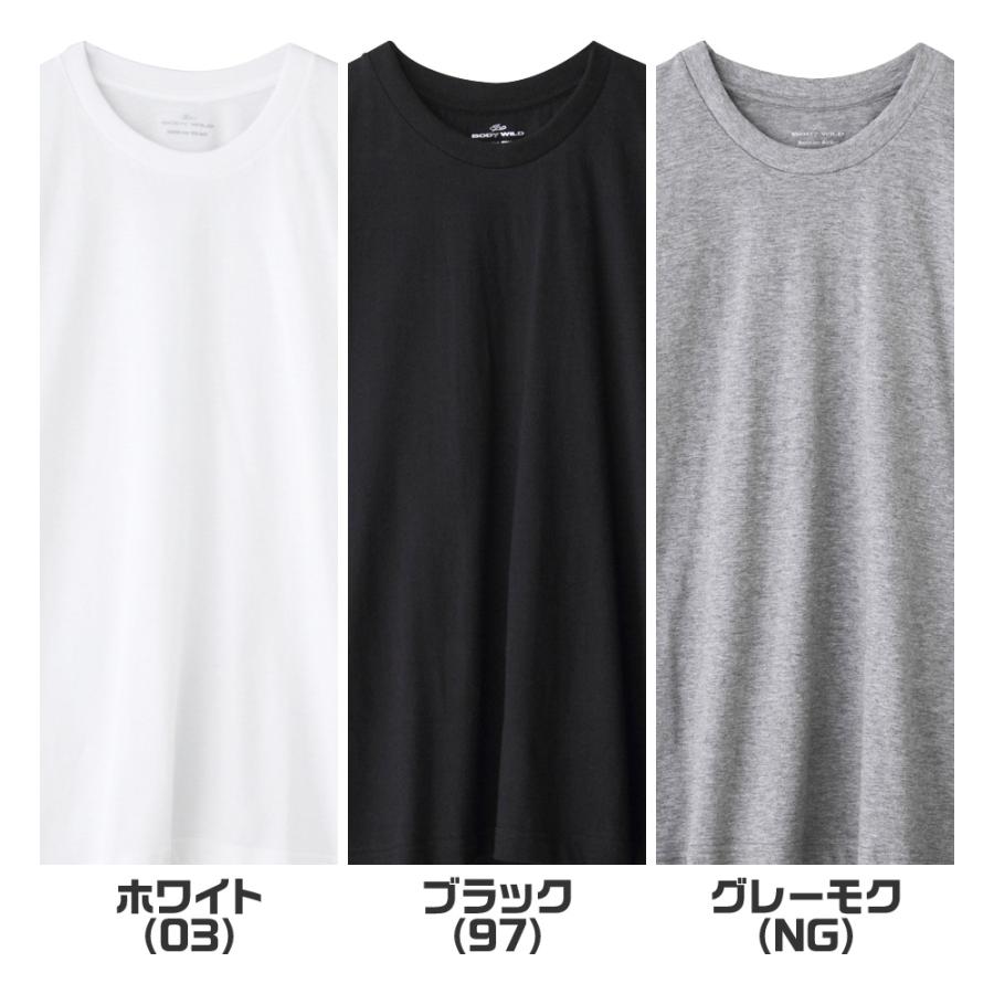 BODY WILD（ボディワイルド） グンゼ GUNZE BODYWILD Tシャツ 2枚組 