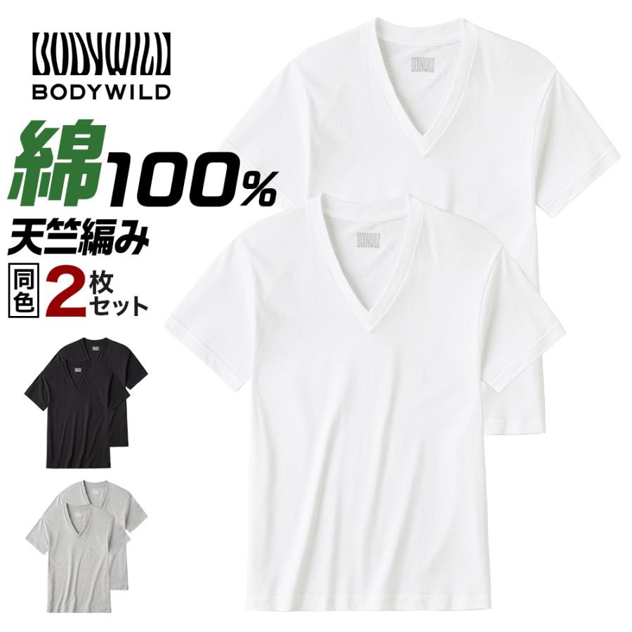BODY WILD（ボディワイルド） グンゼ Tシャツ メンズ 半袖 綿100% V