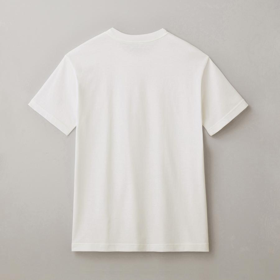 BODY WILD ボディワイルド Tシャツ メンズ 半袖 春夏 汗ジミ 汗 BODY WILD ボディワイルド Tシャツ メンズ 半袖 春夏 汗ジミ 汗