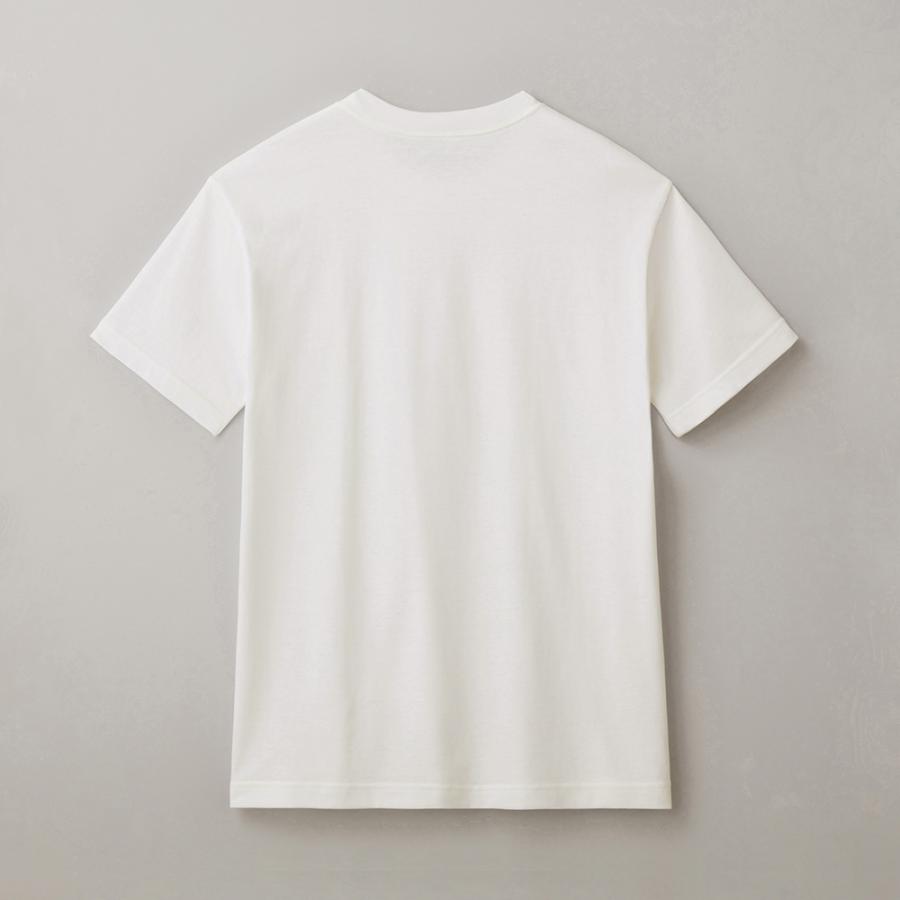 ボディワイルド Ｔシャツ メンズ 半袖 春夏 汗ジミ 汗染み軽減 綿100％ エチケットT BODY WILD GUNZE グンゼ BW5313A｜gunze｜09