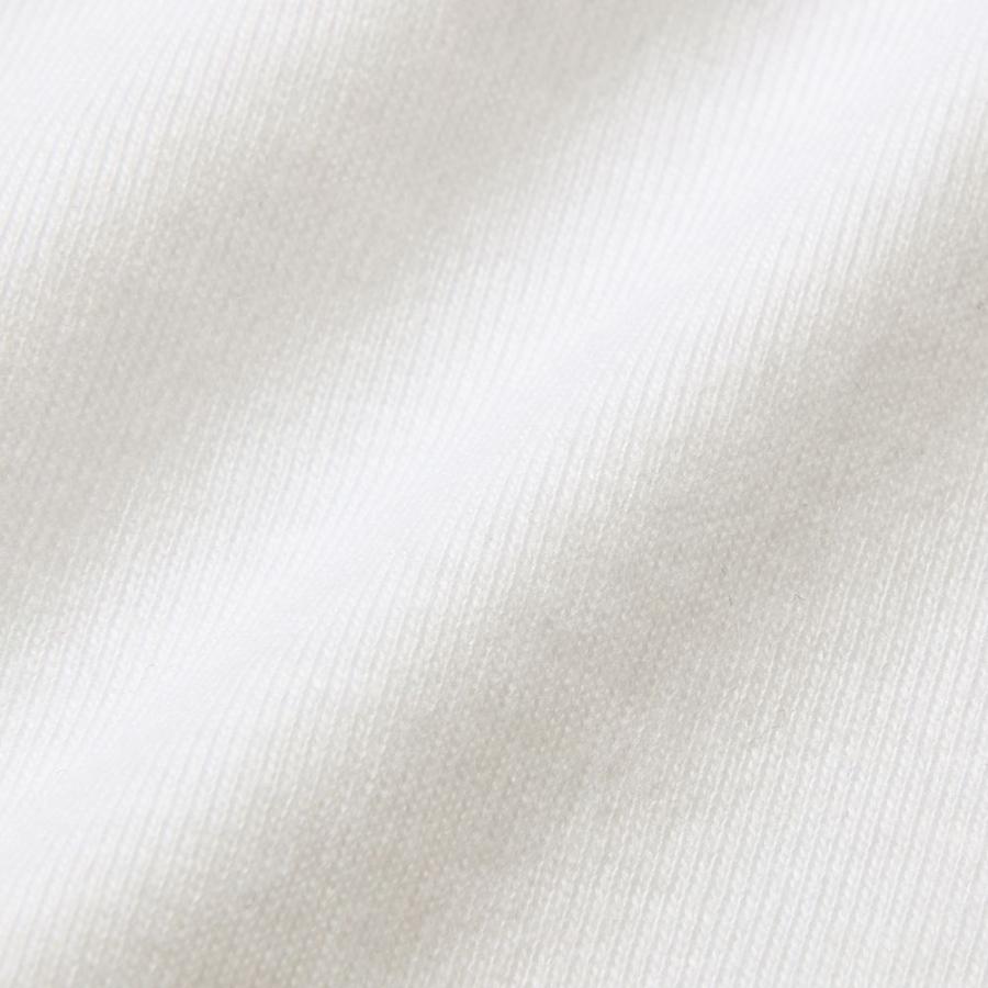 BODY WILD（ボディワイルド） グンゼ Tシャツ メンズ 持続消臭 天竺 通年 綿100 コットン インナー 脇汗 汗対策 エチケット ...