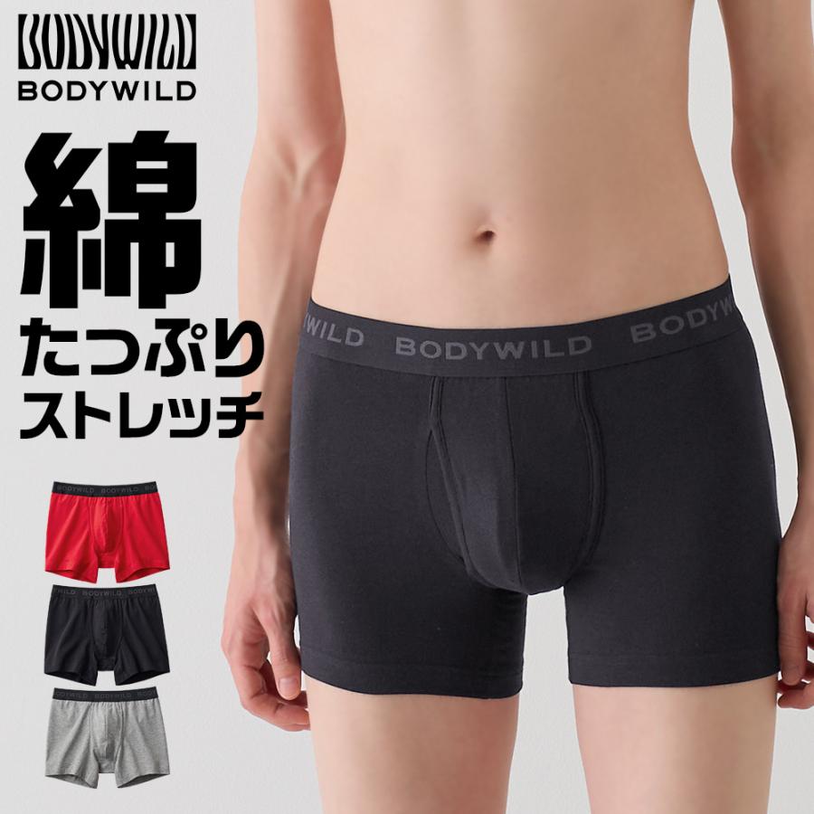 BODY WILD グンゼ GUNZE 綿混 ボクサーパンツ 前あき メンズ BODY WILD グンゼ GUNZE 綿混 ボクサーパンツ 前あき メンズ