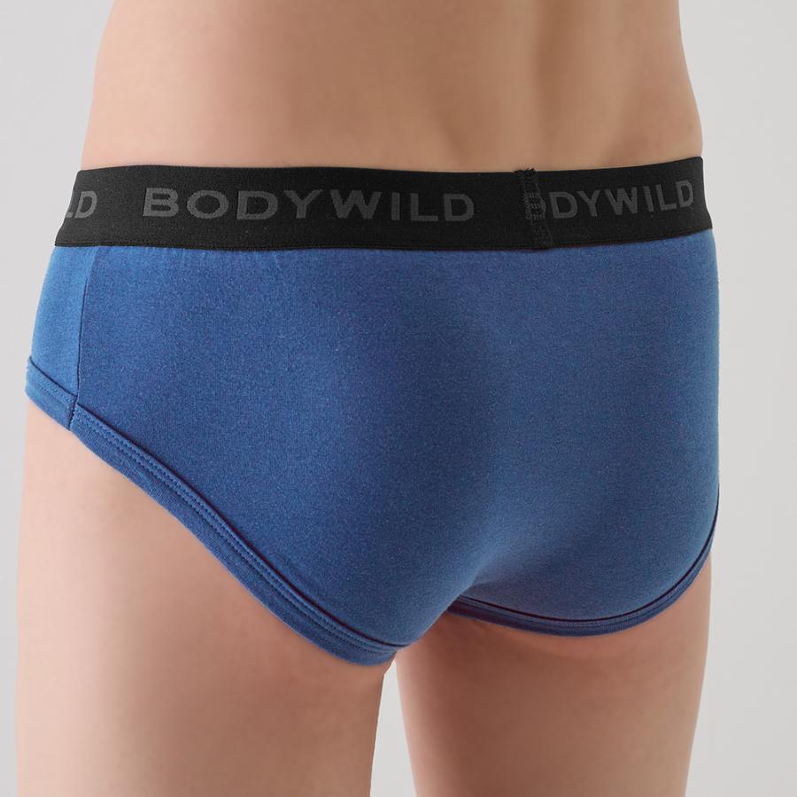BODY WILD グンゼ ボディワイルド ブリーフ メンズ 前あき 綿混 BODY WILD グンゼ ボディワイルド ブリーフ メンズ 前あき 綿混