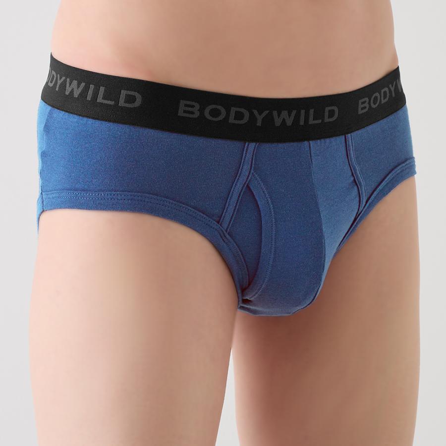   ボクサーブリーフ BODY WILD（ボディワイルド） グンゼ ブリーフ メンズ 前あき 綿
