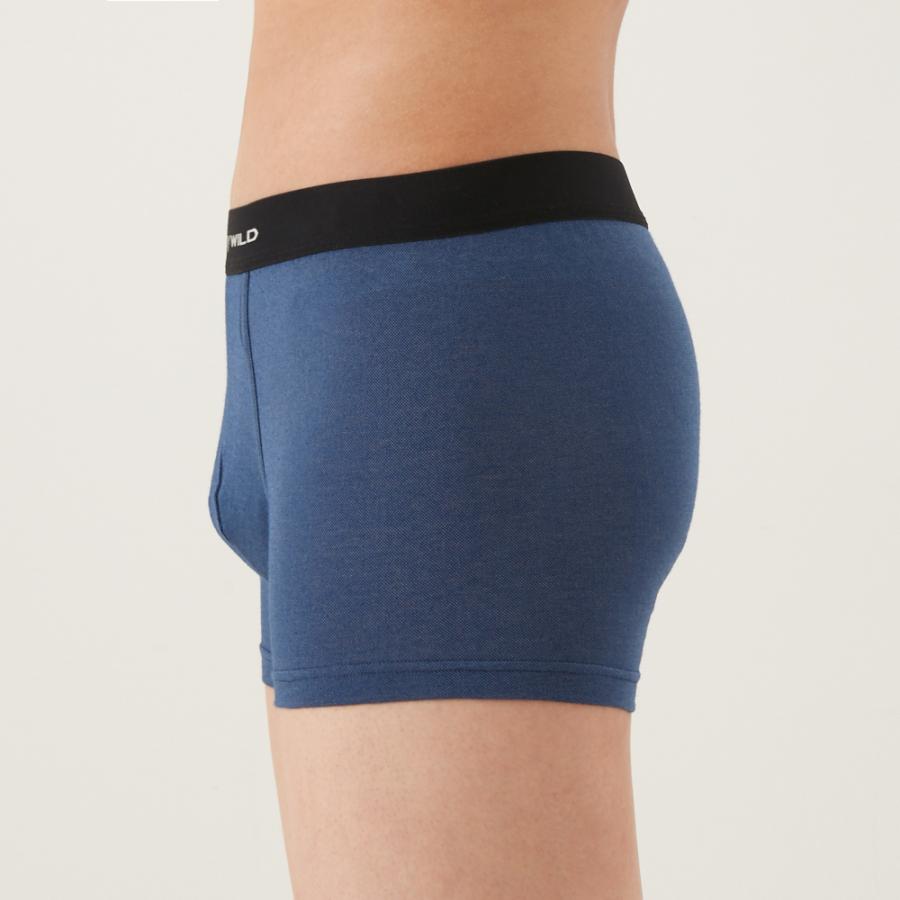 BODY WILD（ボディワイルド） グンゼ GUNZE ボクサーパンツ メンズ 綿