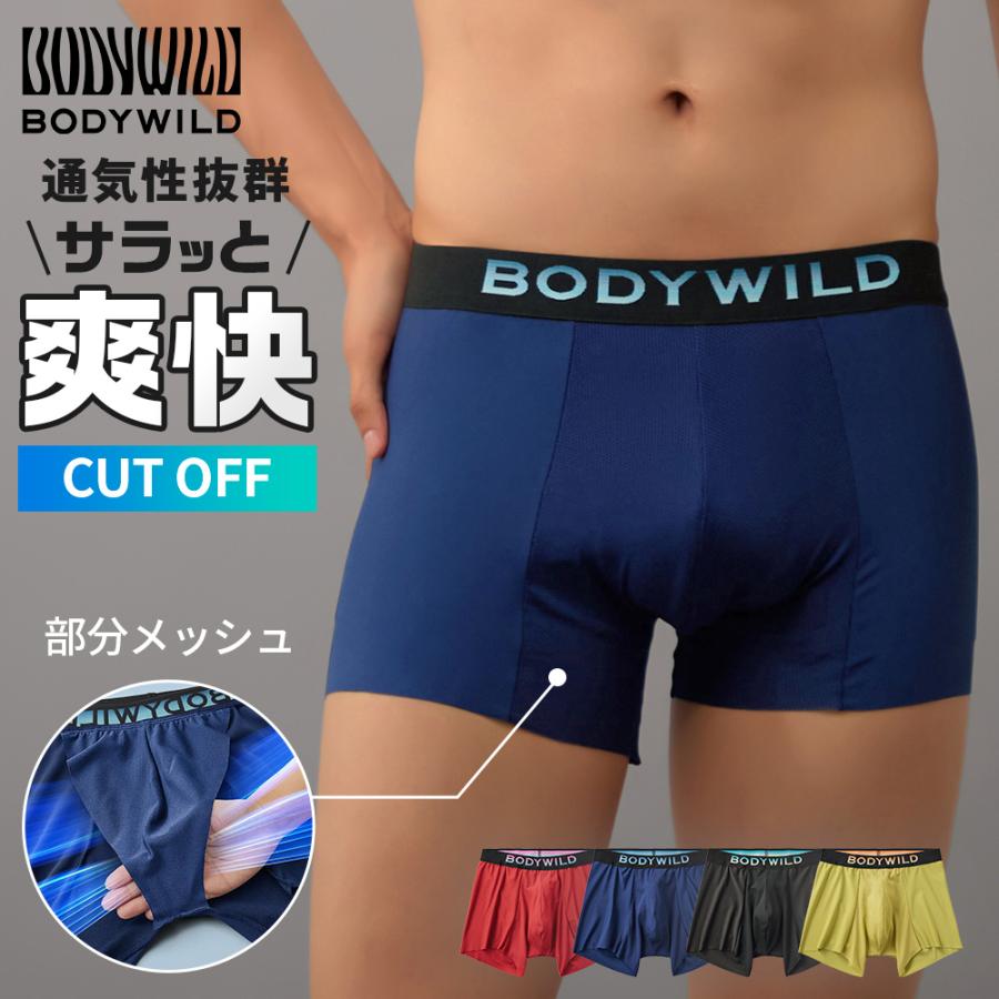 BODY WILD（ボディワイルド） グンゼ ボクサーパンツ メンズ オール