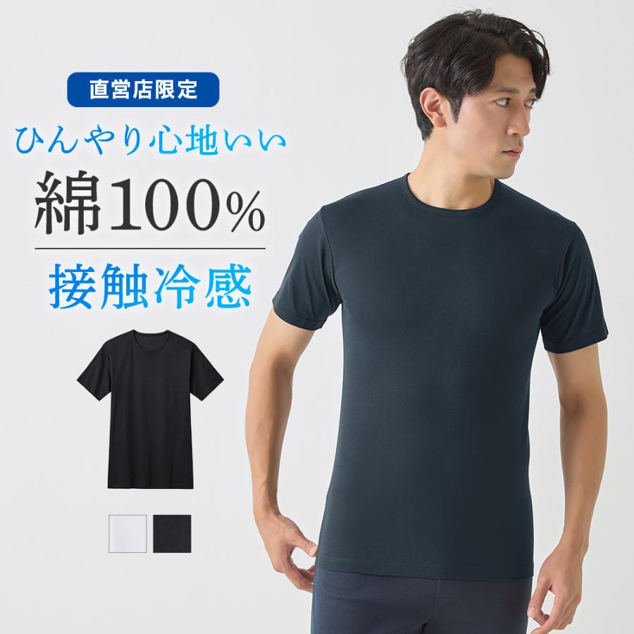 T君さん専用 GUNZE（グンゼ） Tシャツ メンズ 日本製 綿100% クルーネック 春夏
