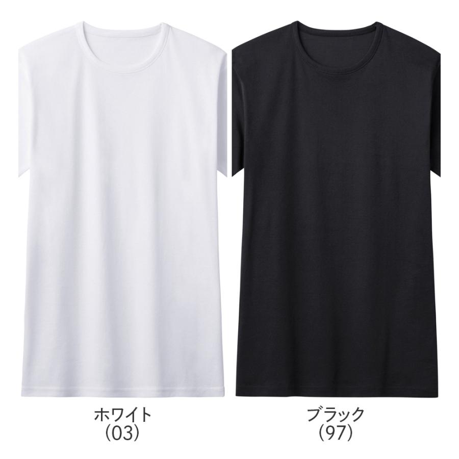 GUNZE（グンゼ） Tシャツ メンズ 日本製 綿100% クルーネック 春夏