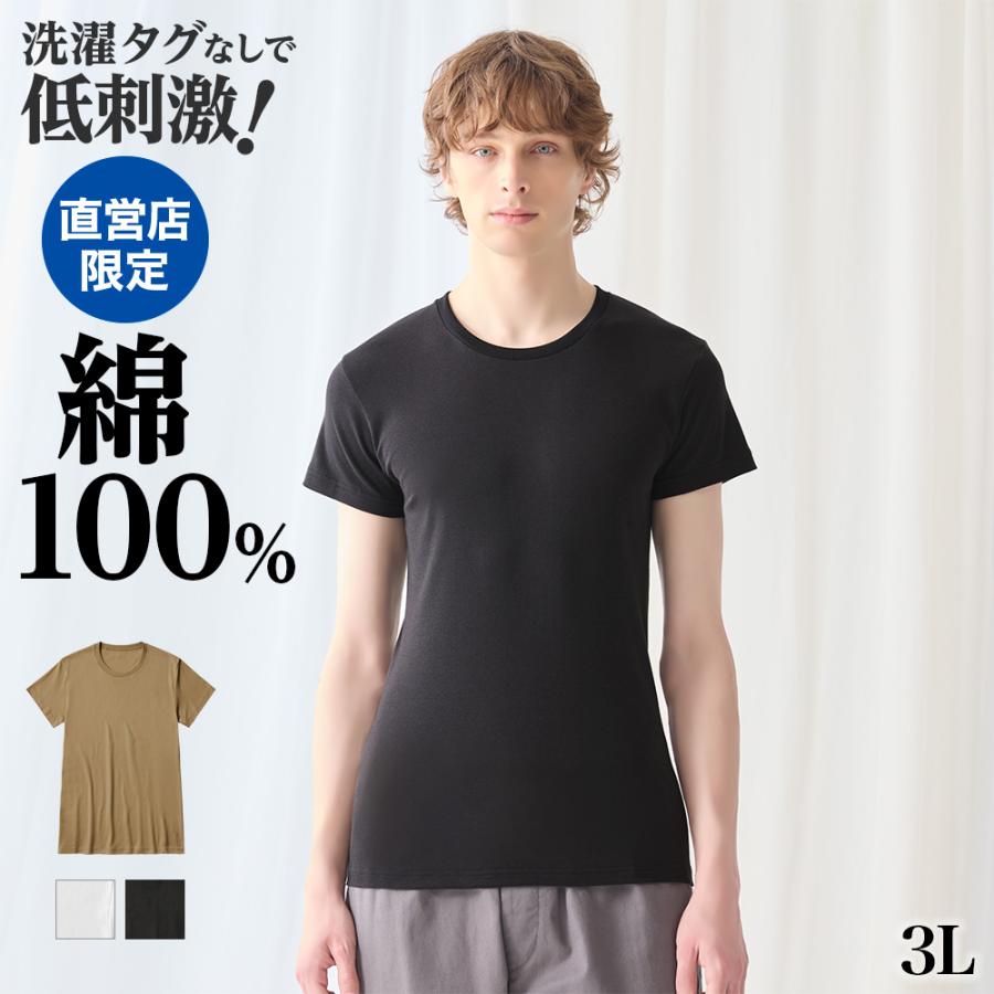 GUNZE（グンゼ） theGUNZE 直営店限定 綿100% クルーネックTシャツ