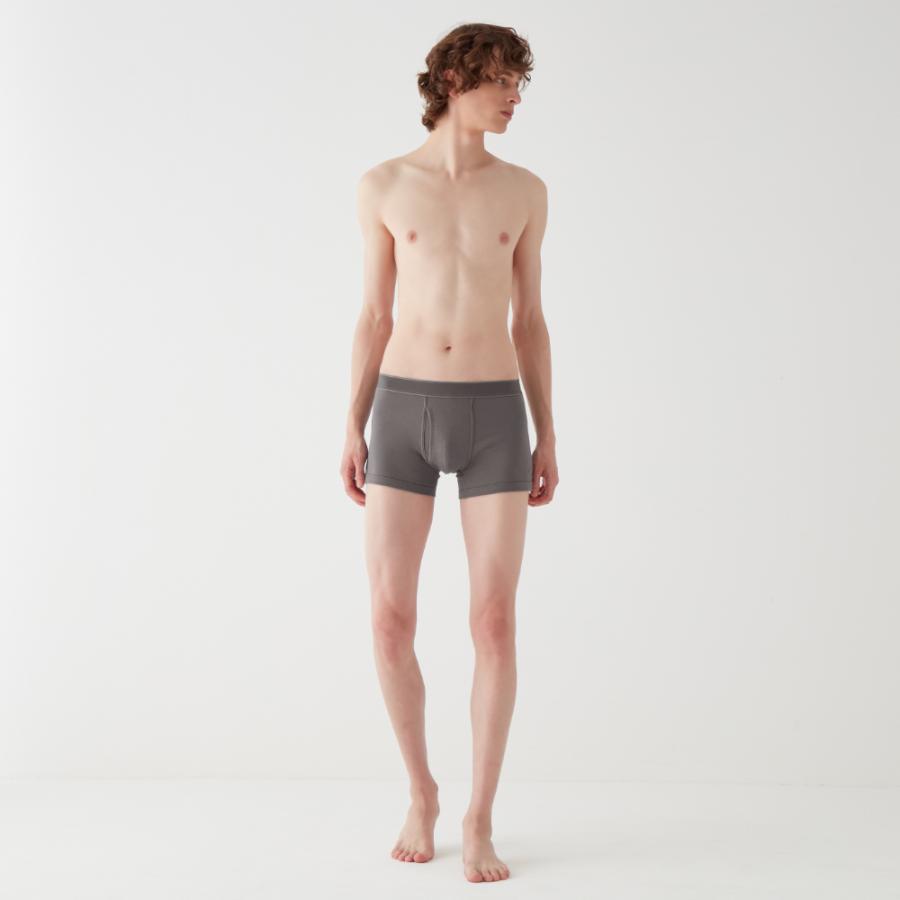 GUNZE（グンゼ） theGUNZE 直営店限定 綿100% ボクサーパンツ メンズ