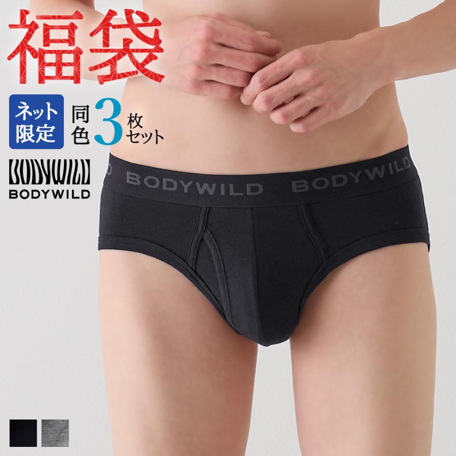 BODY WILD（ボディワイルド） 福袋 2026 メンズ グンゼ公式 ブリーフ