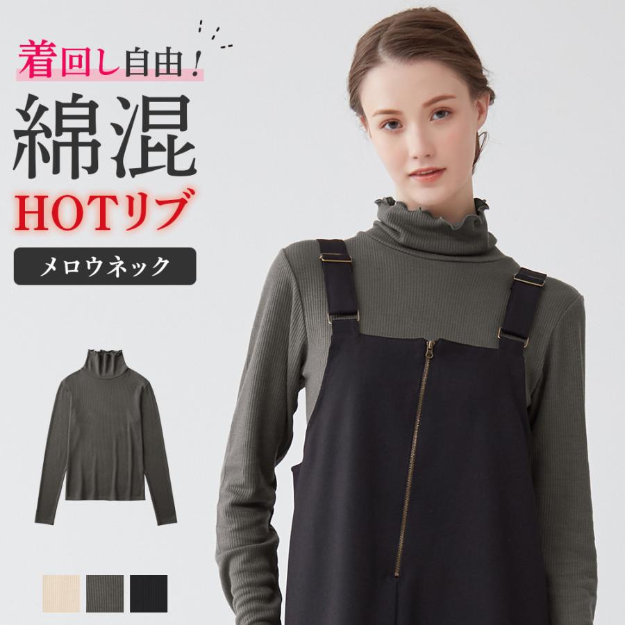 GUNZE（グンゼ） タートルネック レディース 秋冬 肌側綿 女性
