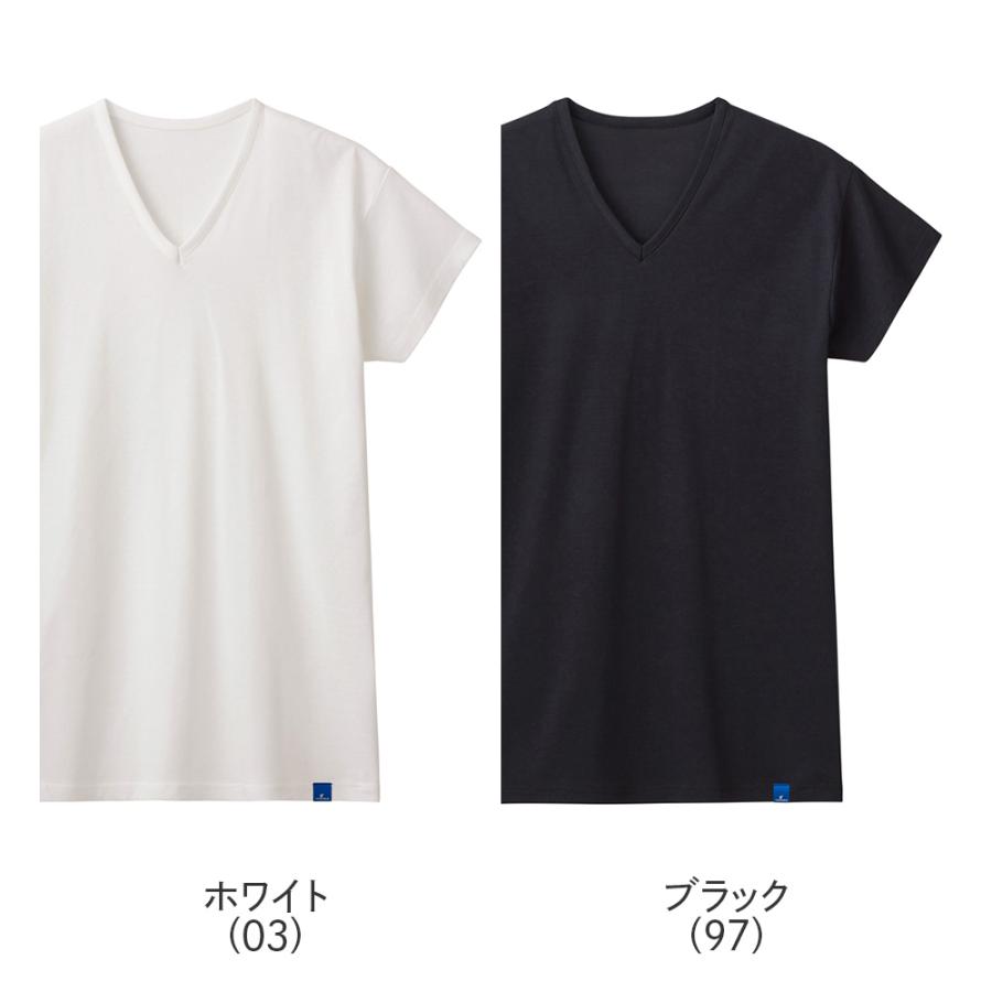 COOLMAGIC グンゼ VネックTシャツ 綿100% 男性 下着 インナー 肌着