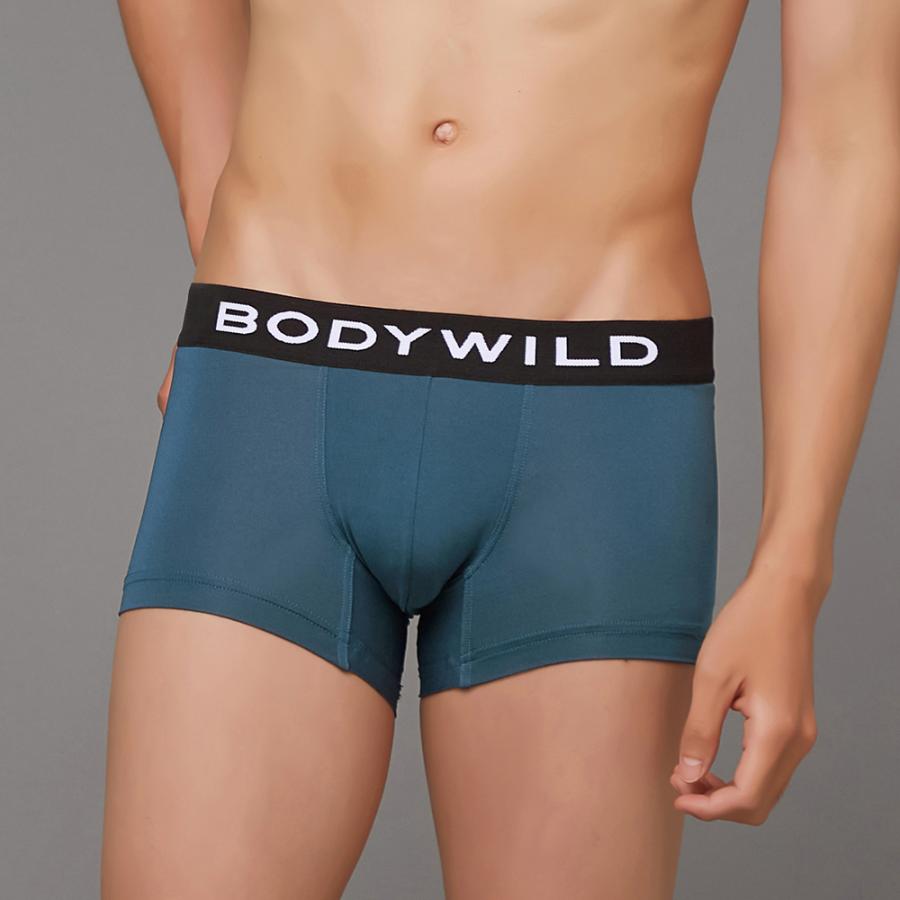BODY WILD（ボディワイルド） 4日9時までタイムセール グンゼ ボクサー