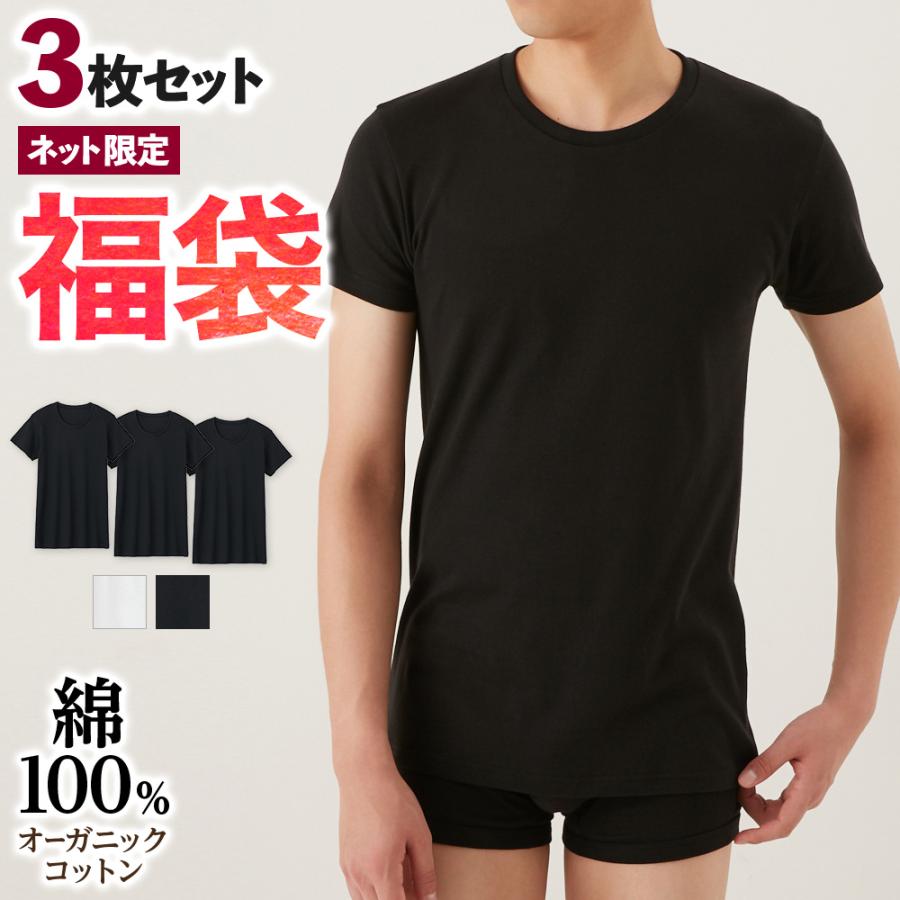 GUNZE（グンゼ） the GUNZE 綿100％ クルーネックTシャツ 3枚組