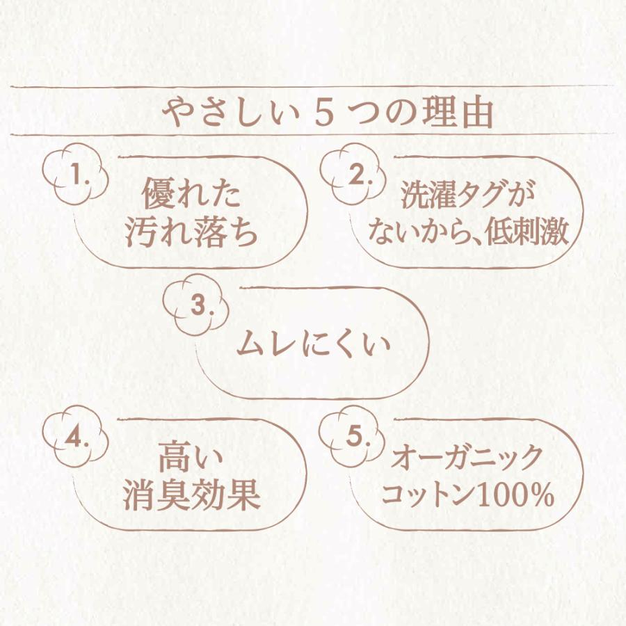 GUNZE グンゼ the 綿100％ VネックTシャツ 3枚組 メンズ