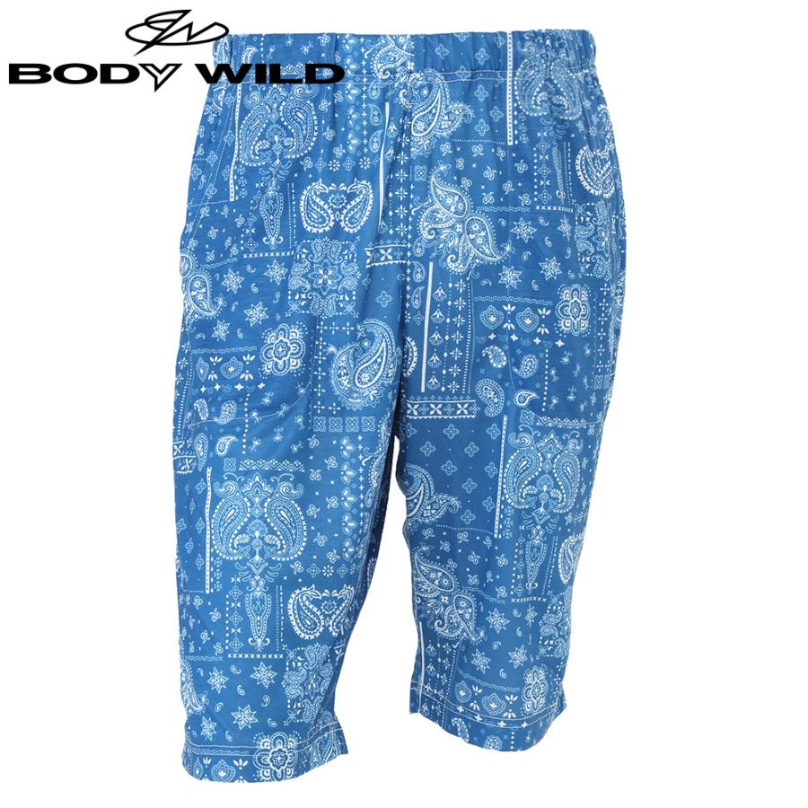 アウトレット グンゼ ステテコ メンズ ボディワイルド 夏 おしゃれ 5分丈 男性 紳士 Body Wild Gunze Be3030 M Ll グンゼ Paypayモール店 通販 Paypayモール