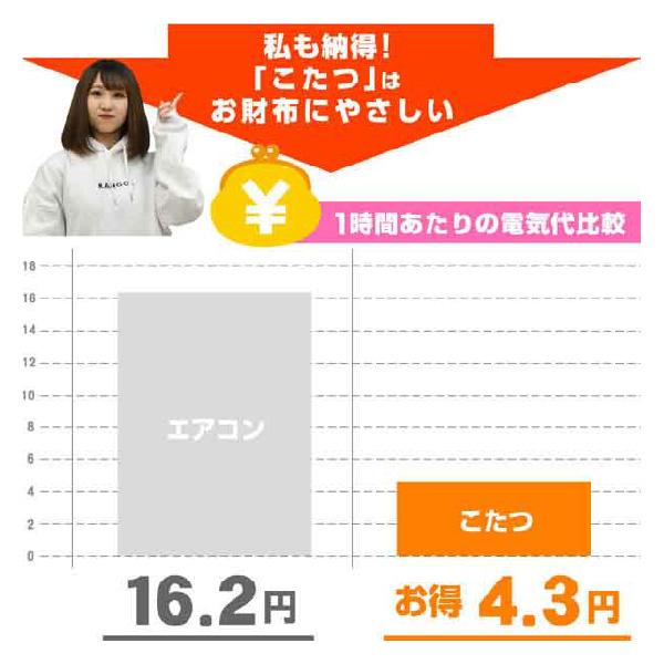 こたつ こたつ単品 4人掛け 座椅子 コタツ 長方形 人気 北欧 モダン ダイニング おしゃれ セット 布団 おしゃれ テーブル 120×80cmst27-3y | メトロ電気工業 | 07
