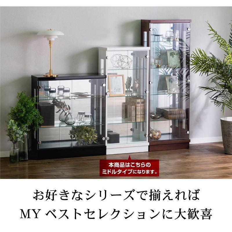 コレクションケース コレクションボックス コレクションボード