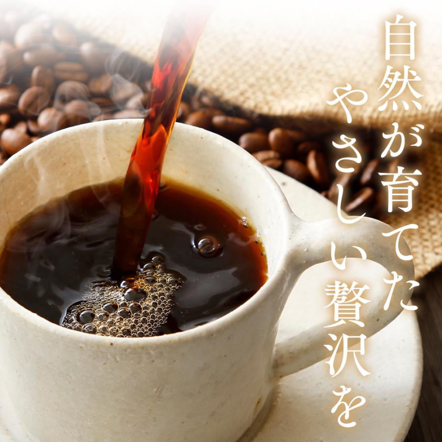☆お試しセット☆／コーヒー 珈琲 コーヒー豆 コーヒー粉 500g×3種