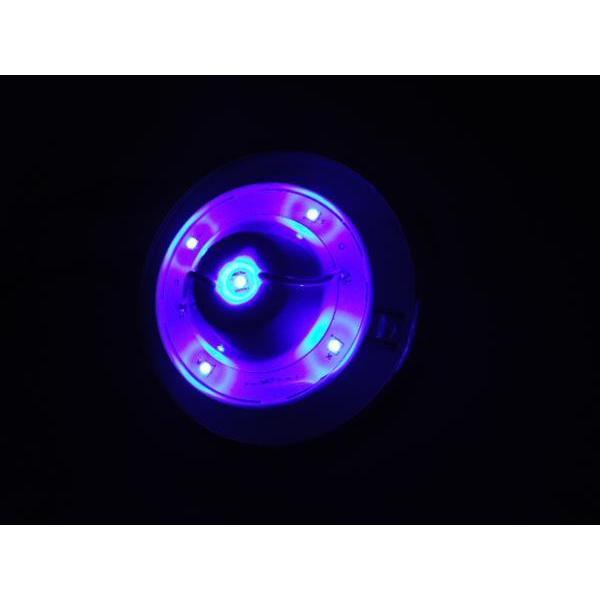 10個組 12v 24v LEDハイパワーバスマーカーランプユニット ブルー 青