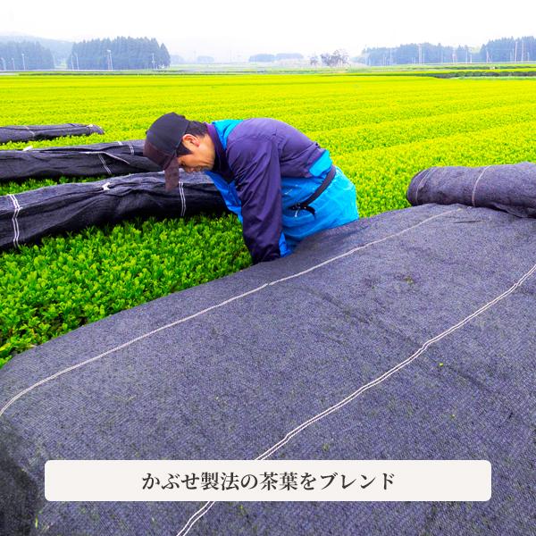 ぐり茶ひも付ティーバッグ20個入（ひも付き）　深蒸し茶製法の緑茶のティーパック｜guricha-sugiyama｜13