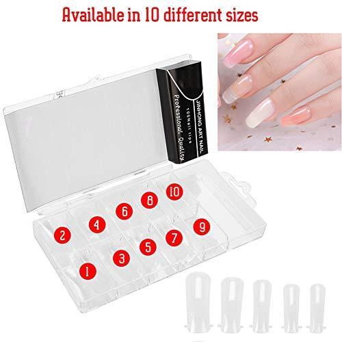 Sale 96 Off 100pcsネイルチップ ポリジェル ジェルネイル 透明 プラスチック製 スカルプチャー フォームチップ クリア デュアルフォーム 10サイズ入り フ Discoversvg Com