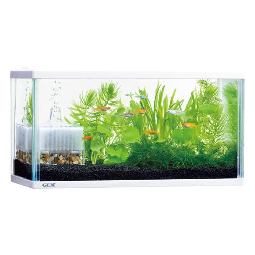 Gex メダカ元気 かんたん飼育セット S 水槽セット ネコポス不可 Gex 0195 美活コスメ応援部 Bikaco 通販 Yahoo ショッピング