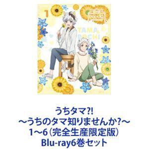 うちタマ?! 〜うちのタマ知りませんか?〜 1〜6（完全生産限定版） [Blu-ray6巻セット]