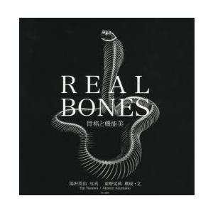 REAL BONES 枠組みと役立つこと美