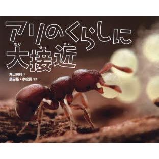アリのくらしに大接近｜guruguru