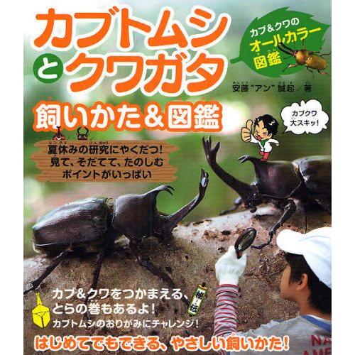 カブトムシとクワガタ飼いかた＆図鑑 カブ＆クワのオールカラー図鑑 夏休みの研究にやくだつ!見て、そだてて、たのしむポイントがいっぱい｜guruguru