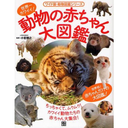 世界一カワイイ 動物の赤ちゃん大図鑑 ぐるぐる王国 Paypayモール店 通販 Paypayモール