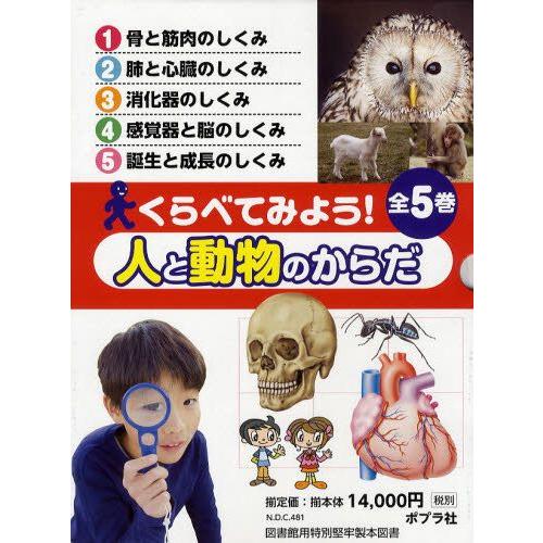36 割引無料発送 くらべてみよう 人と動物のからだ 5巻セット 学習読み物 子ども 本 雑誌 コミック Johndunnautosales Com