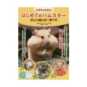 小学生でも安心!はじめてのハムスター正しい飼い方・育て方｜guruguru