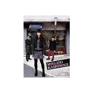 ミエリーノ柏木 DVD BOX [DVD]