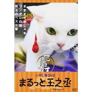いやし猫 DVD 猫侍 まるっと玉之丞 [DVD]｜guruguru
