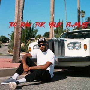 Polyester The Saint / Too Raw For Your Playlist [CD]｜guruguru