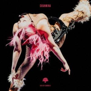 ちゃんみな／AREA OF DIAMOND 3（完全生産限定盤） [DVD] : ぐるぐる