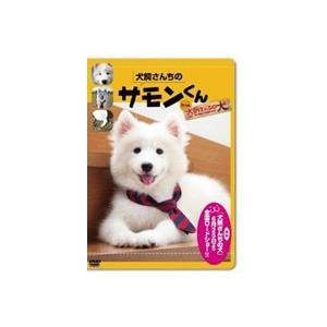 犬飼さんちのサモンくん From 犬飼さんちの犬 Dvd Lonasipiranga Com Br